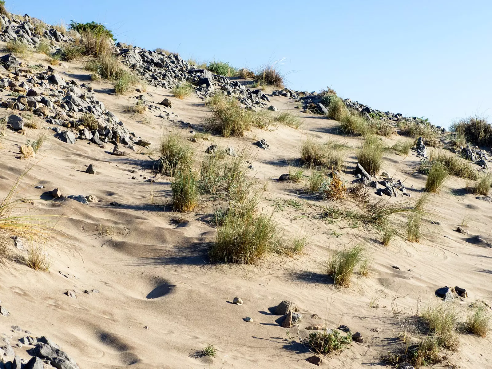 Cabo de Gata