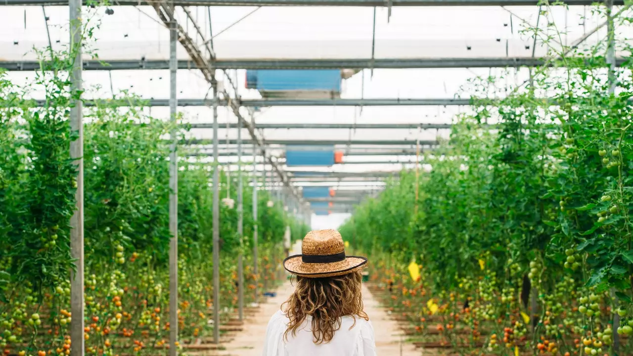 Għaliex Almería jistħoqqilha tkun il-Kapitali Spanjola tal-Gastronomija 2019