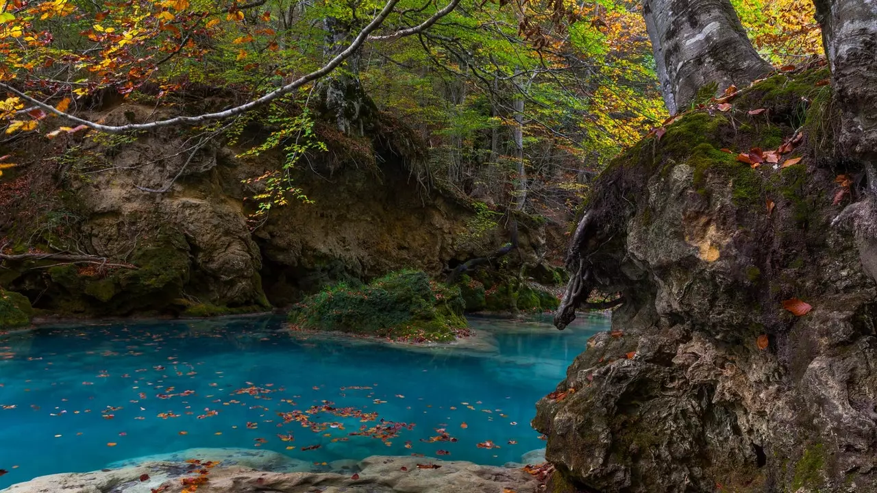 Një shëtitje nëpër pyjet e magjepsur të Navarrës