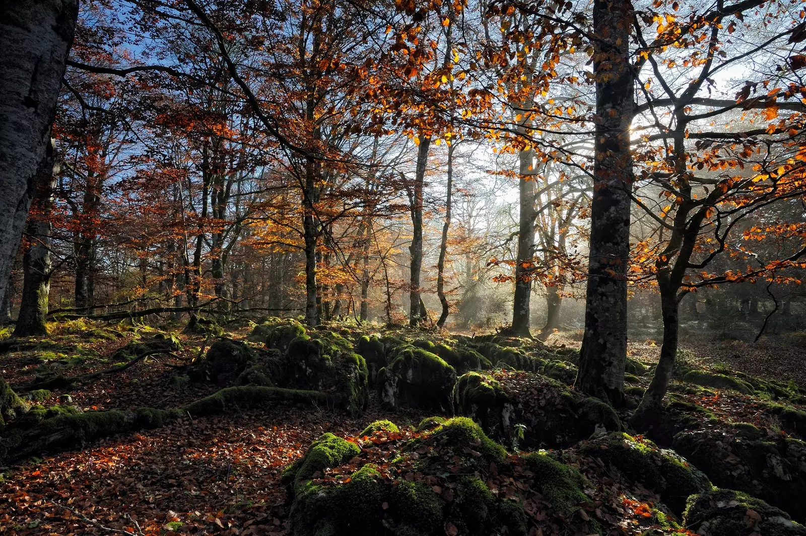 Lever du soleil à Urbasa