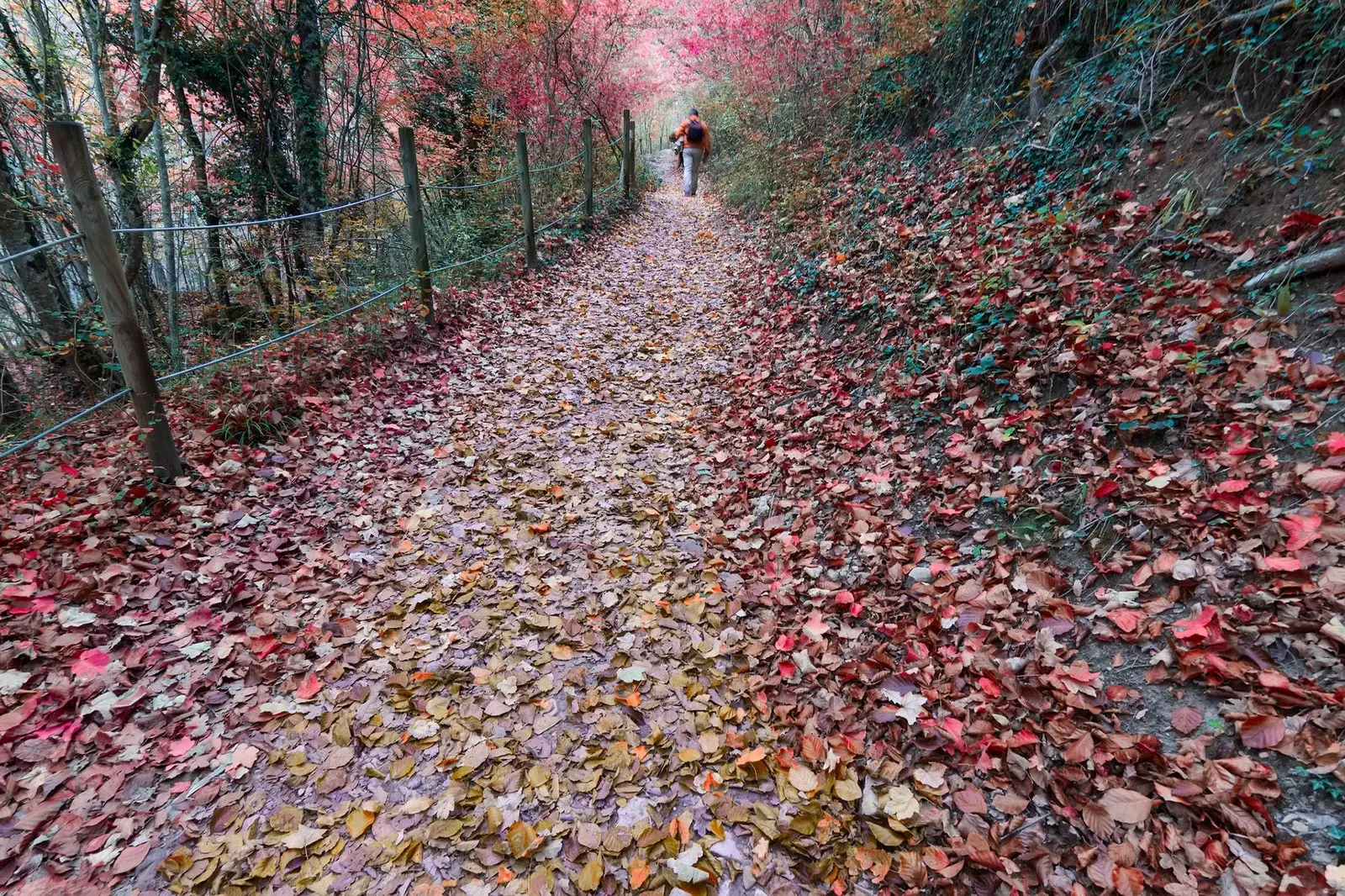 Se promener dans le parc naturel d'Urbasa et Andía