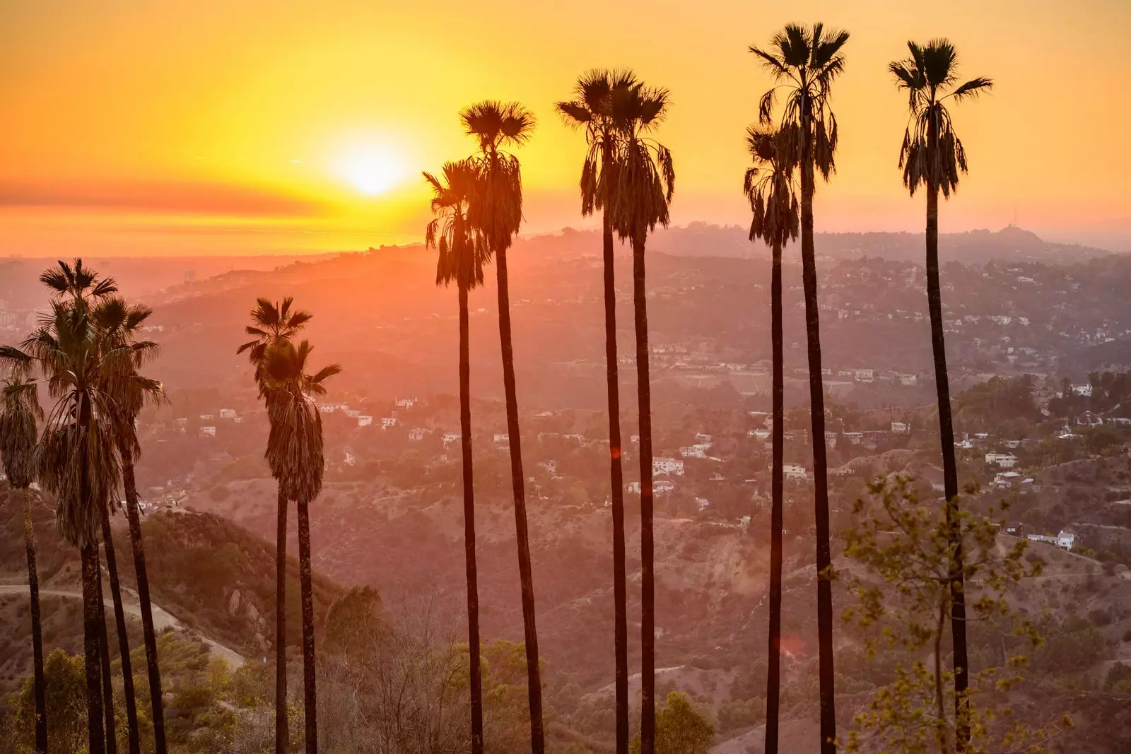 O sol se põe e você está de mãos dadas no Griffith Park...