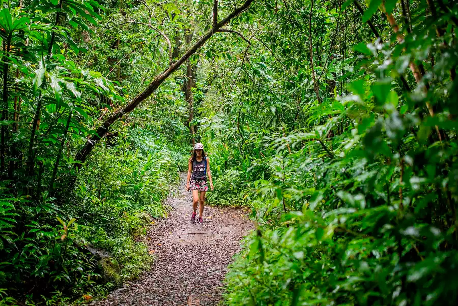 Chutes de Manoa au coeur de la jungle