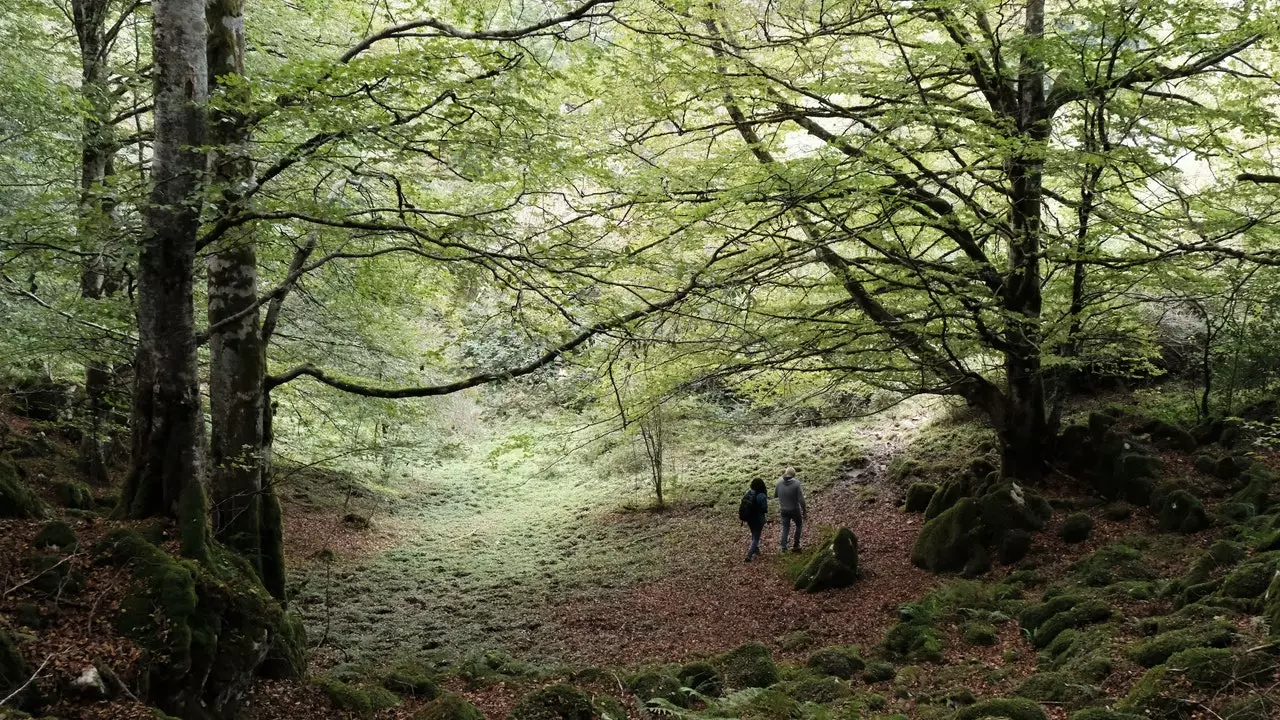 Navarra en verd: de Lekunberri a la Serra d'Aralar