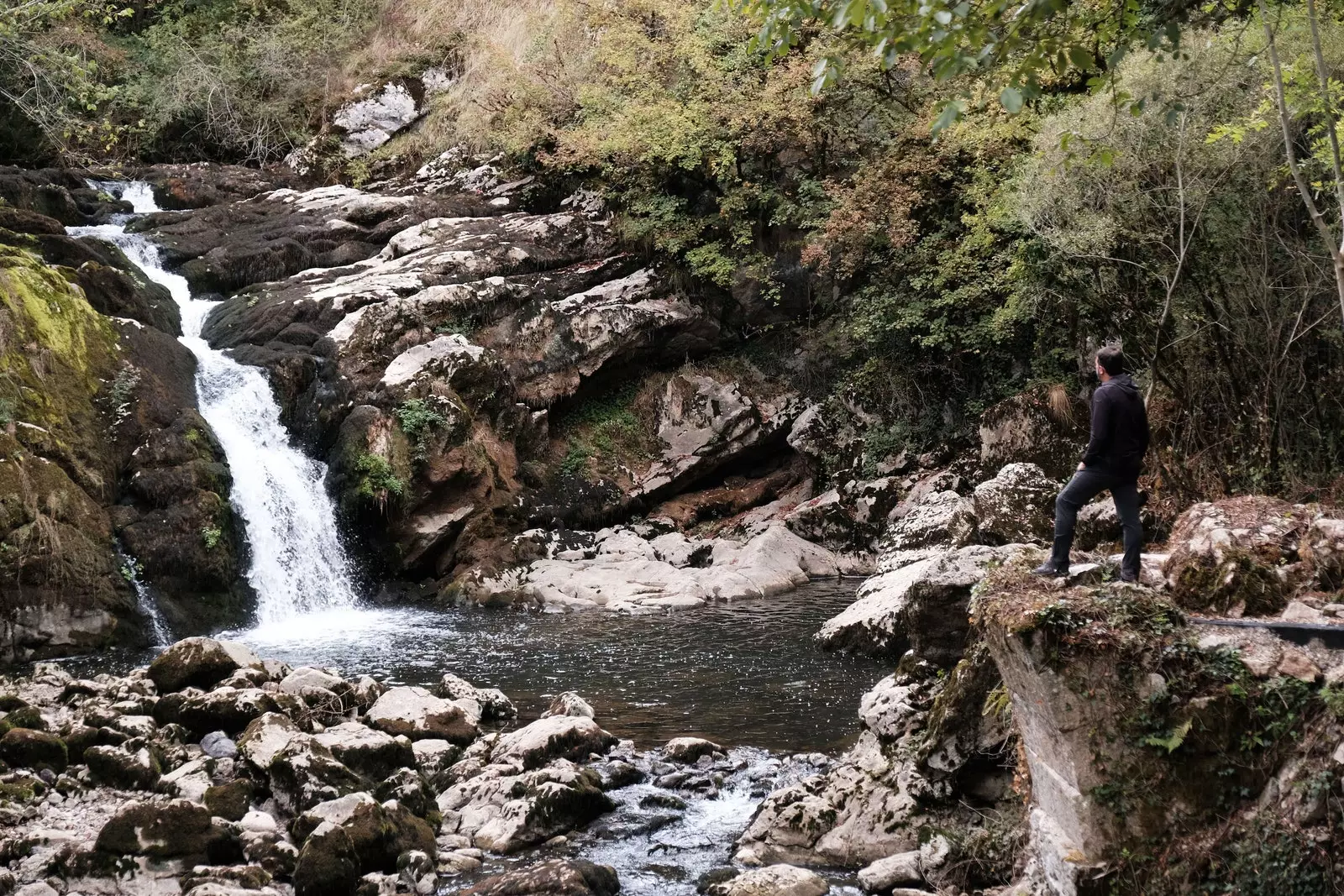 პლაზაოლა გრინვეი