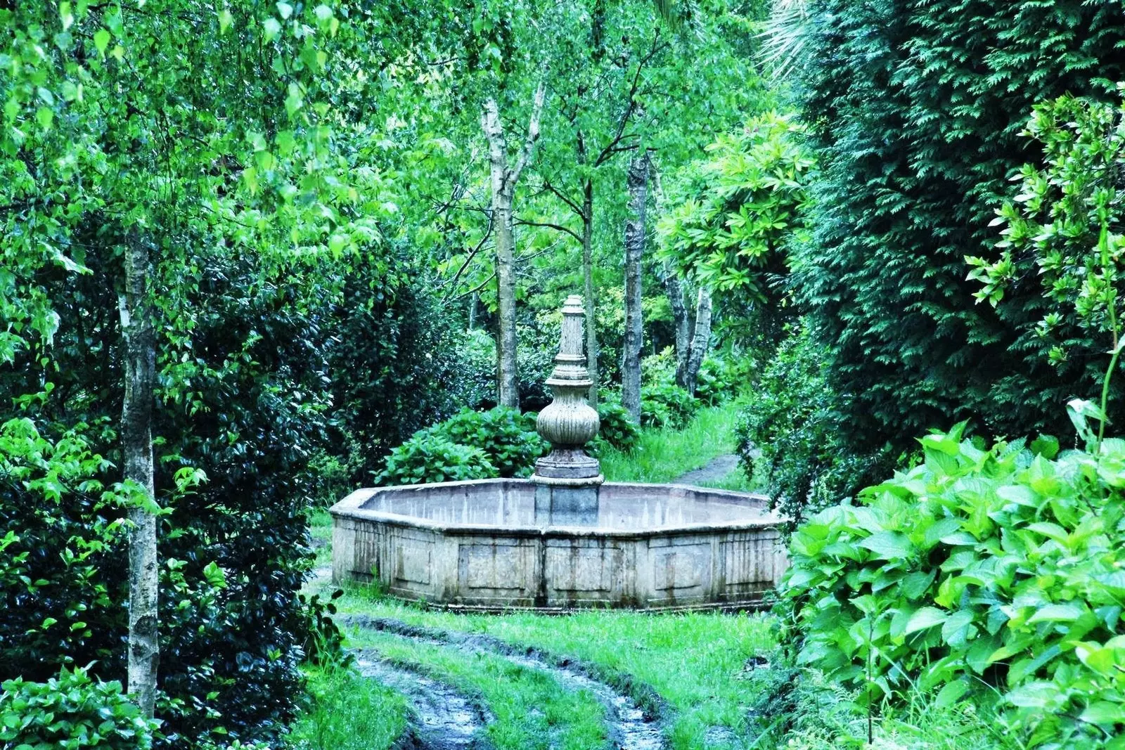 Fontana portoghese del XVII secolo nella foresta Jardín de la Fonte Baxa