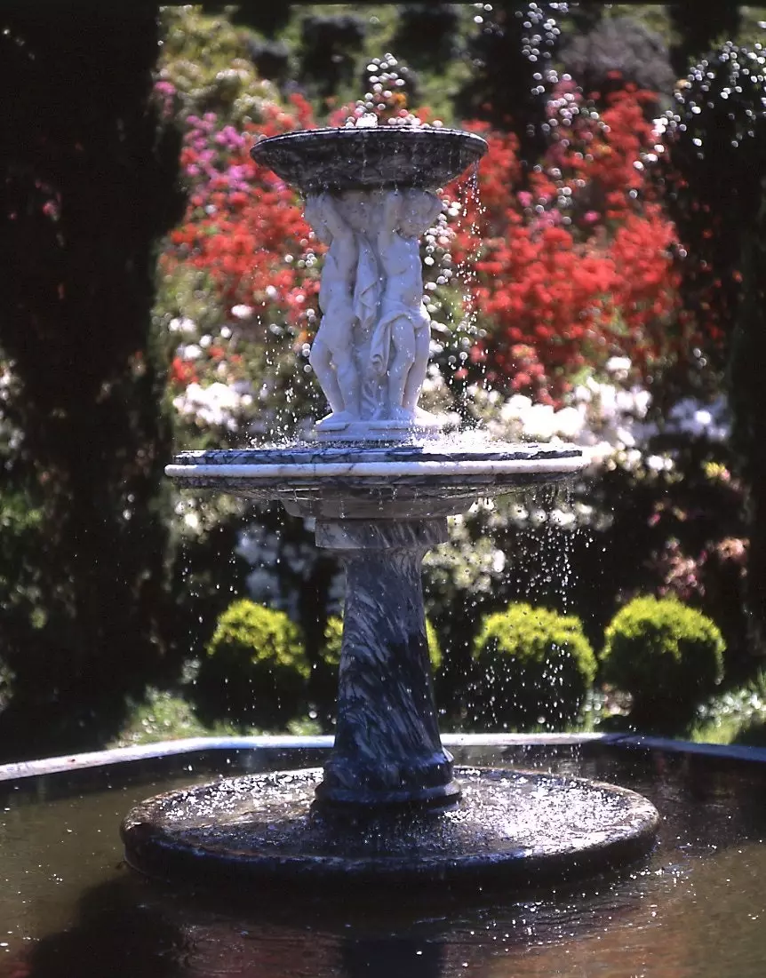 Forêt du jardin Fonte Baxa