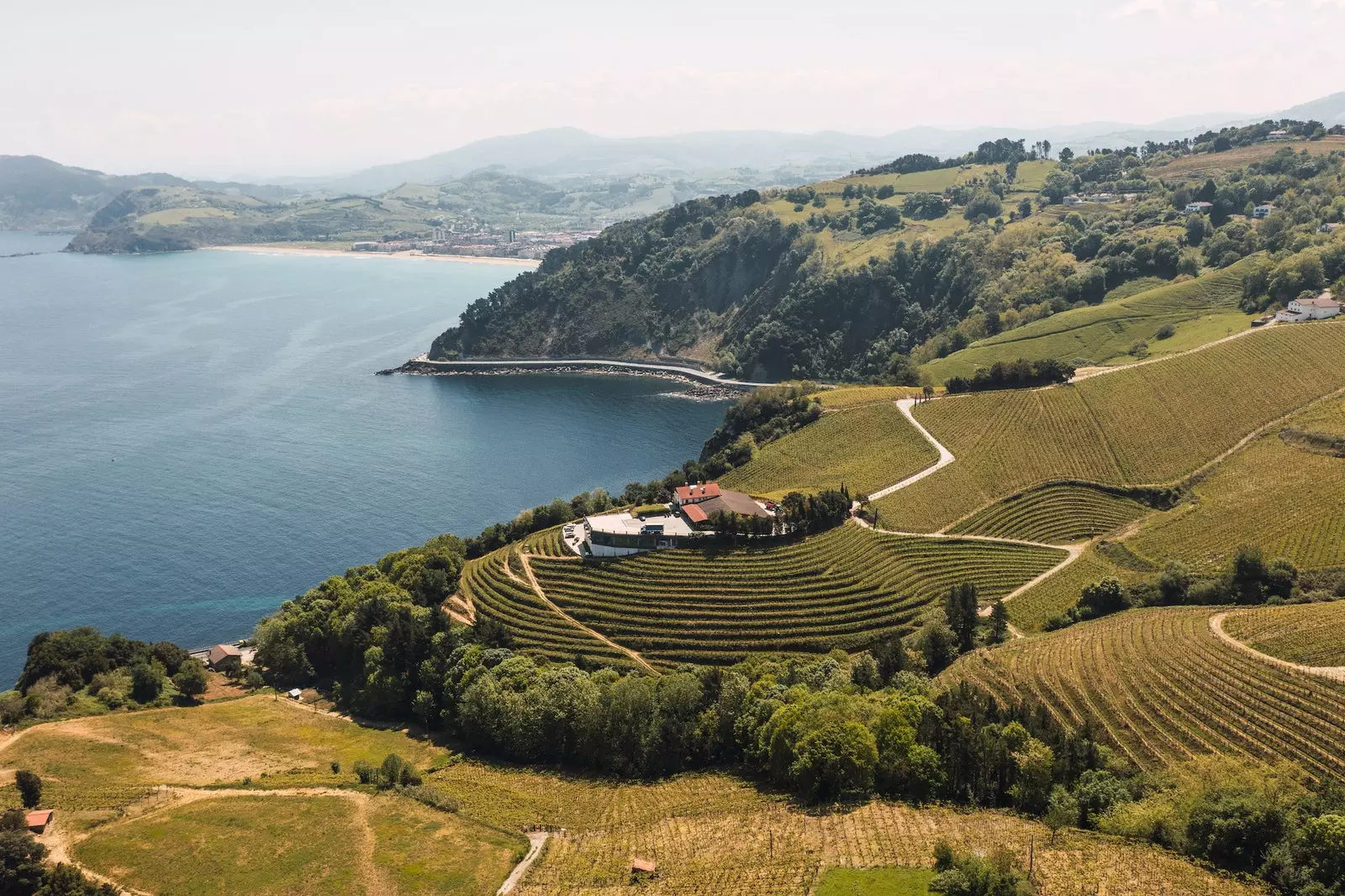 Txaloki, Cantabria esintisi ile üretilen takdir edilen şaraptır.