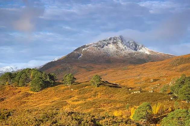 Glen Affric Természetvédelmi Terület