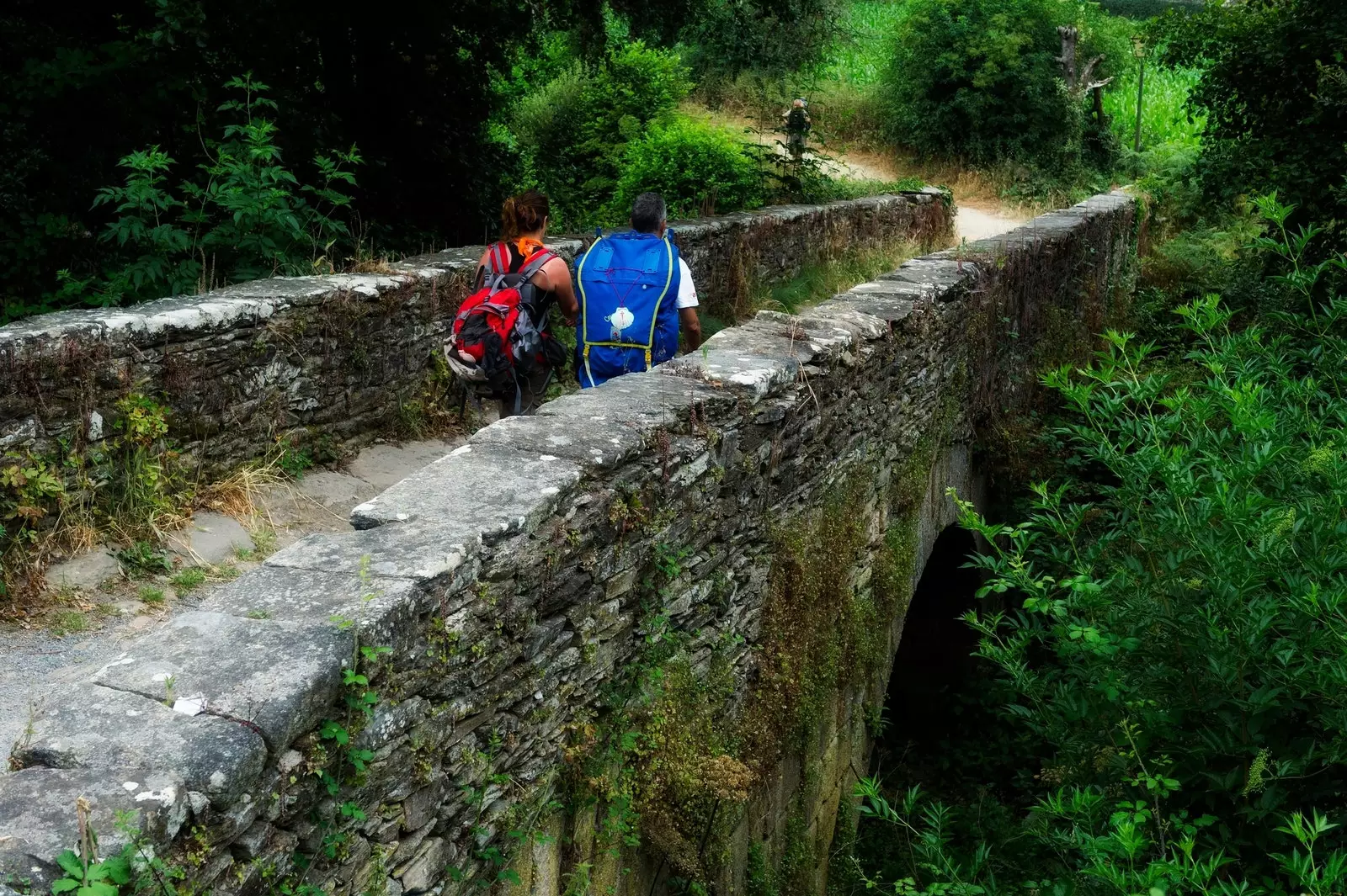 ուխտավորներ