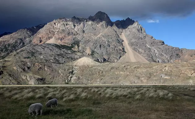 Pumalín er det største naturreservat i private hænder på hele planeten