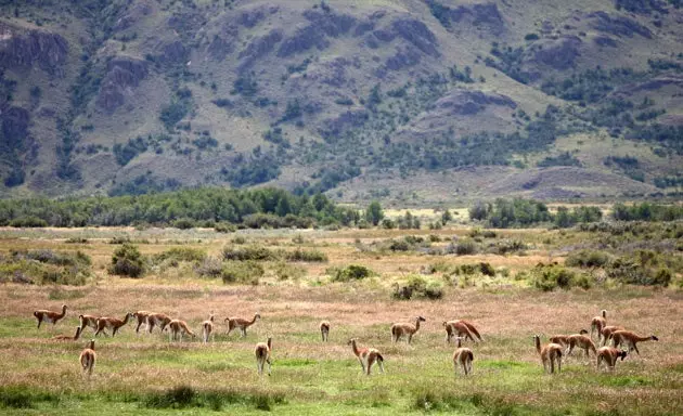 Panoramatický výhľad na Pumalín Chile