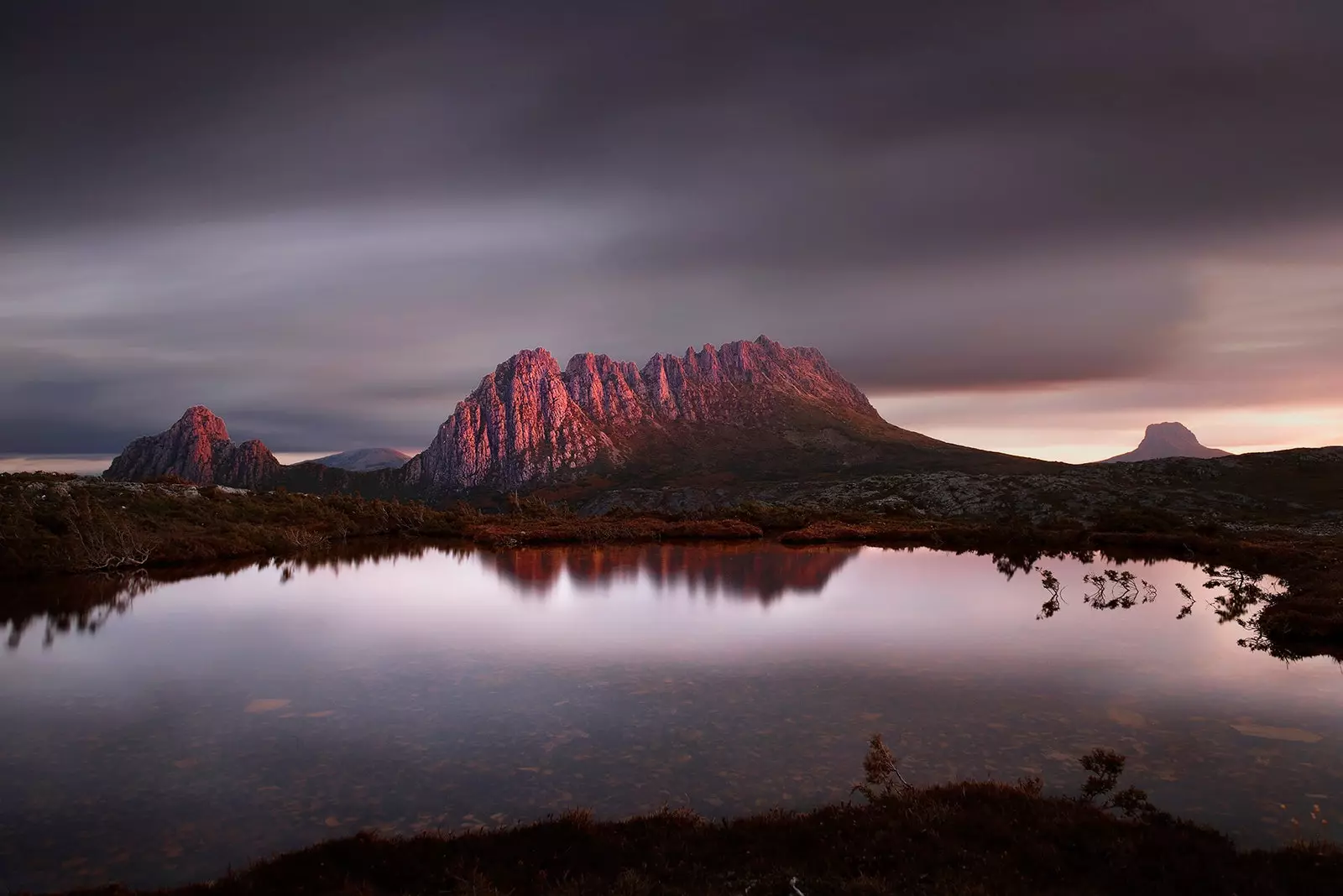 Ingin melihat Setan Tasmania Menjelajahi Gunung Cradle