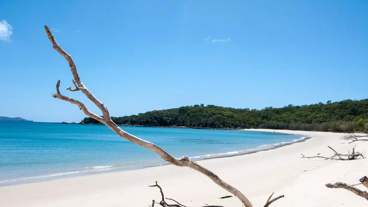 Great Keppel Island: l'antiga Eivissa australiana