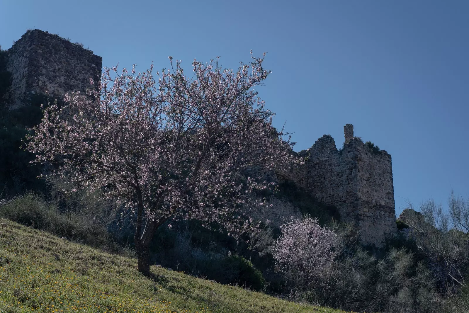 Remains of the Castle of the Peña de Ardales