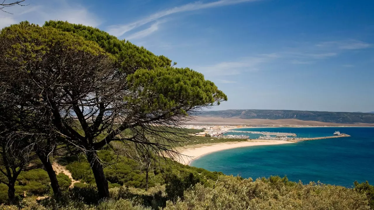 El Parc Natural de la Breña o com perdre's als Aiguamolls de Barbate