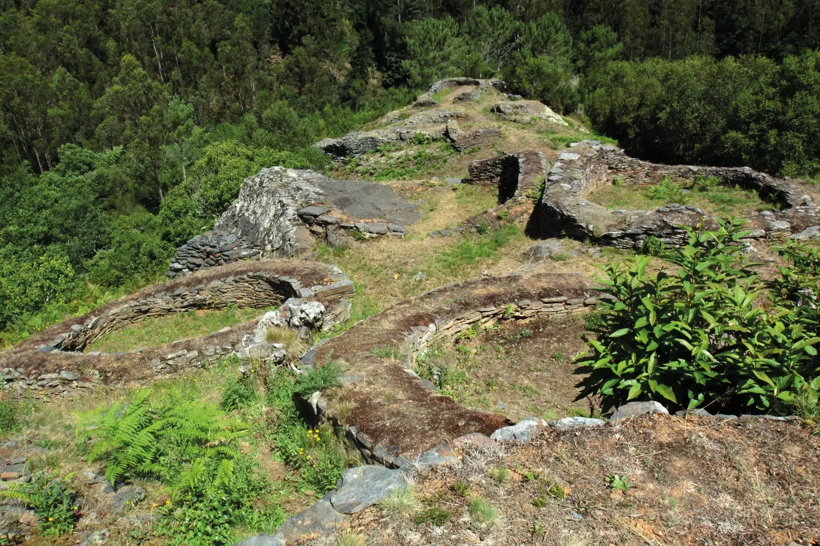 Castro de Pendía