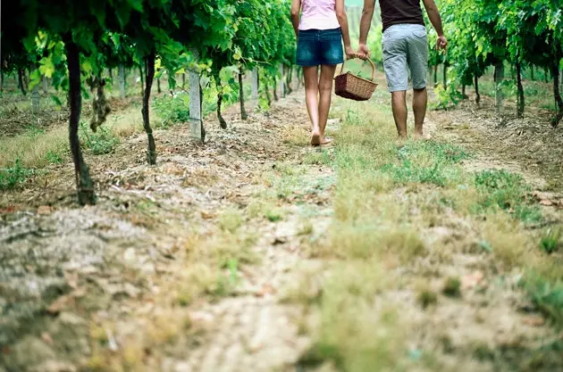 Vous marcherez au milieu des vignes...