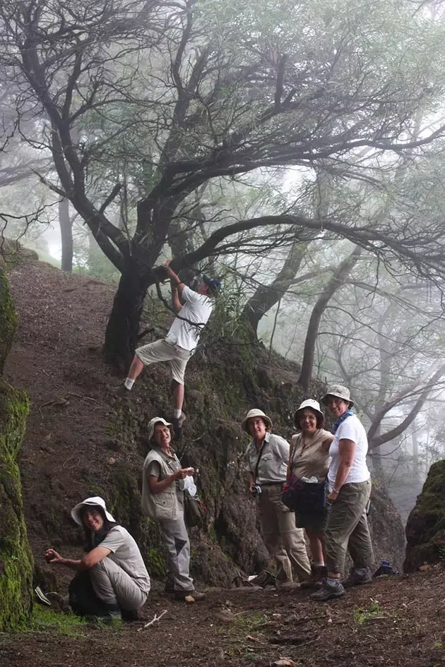 Les jungles de Maria Teresa Telleria