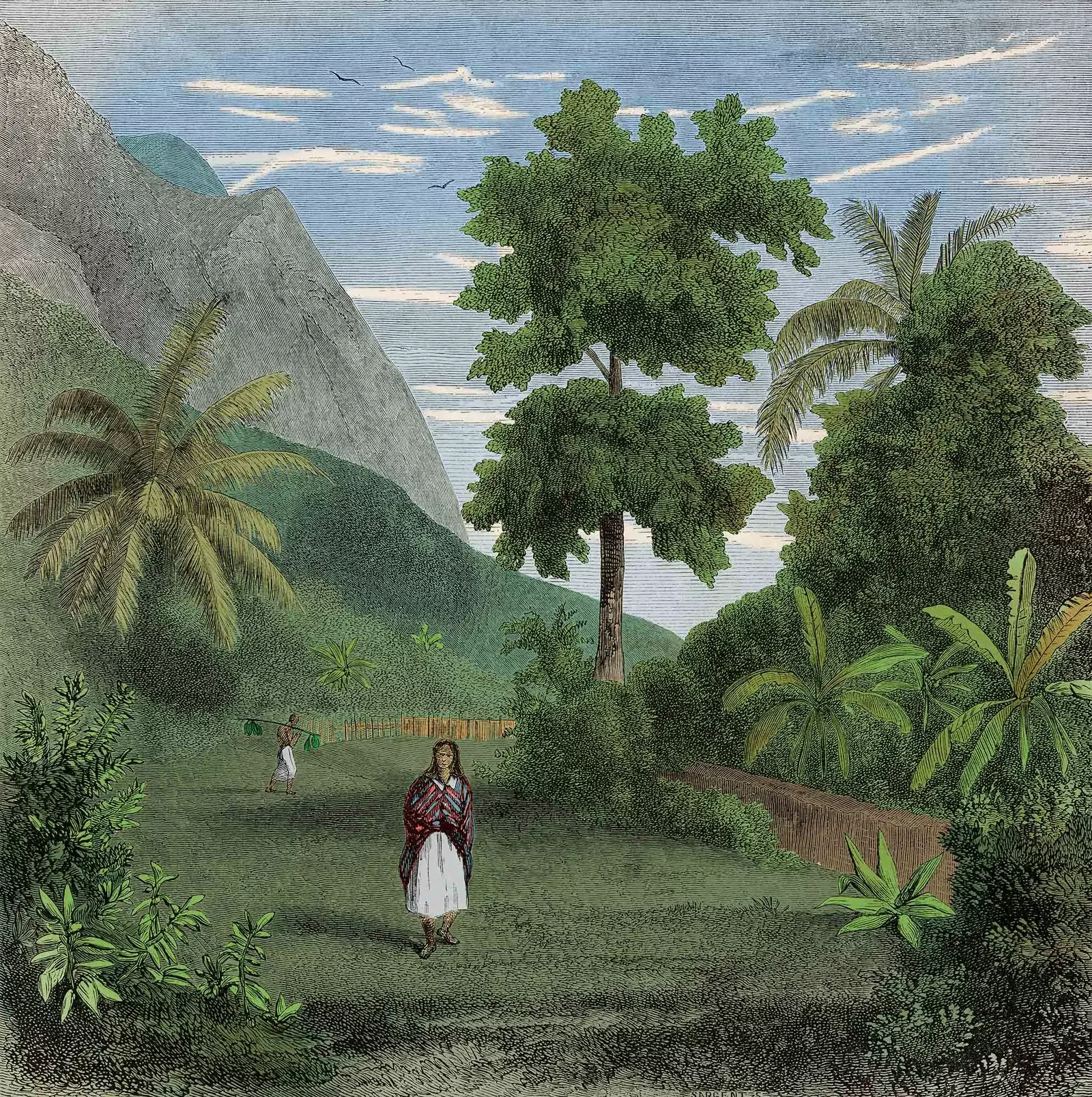 Ilustracija Évremonda de Brarda za Putovanje na Tahiti Ide Pfeiffer