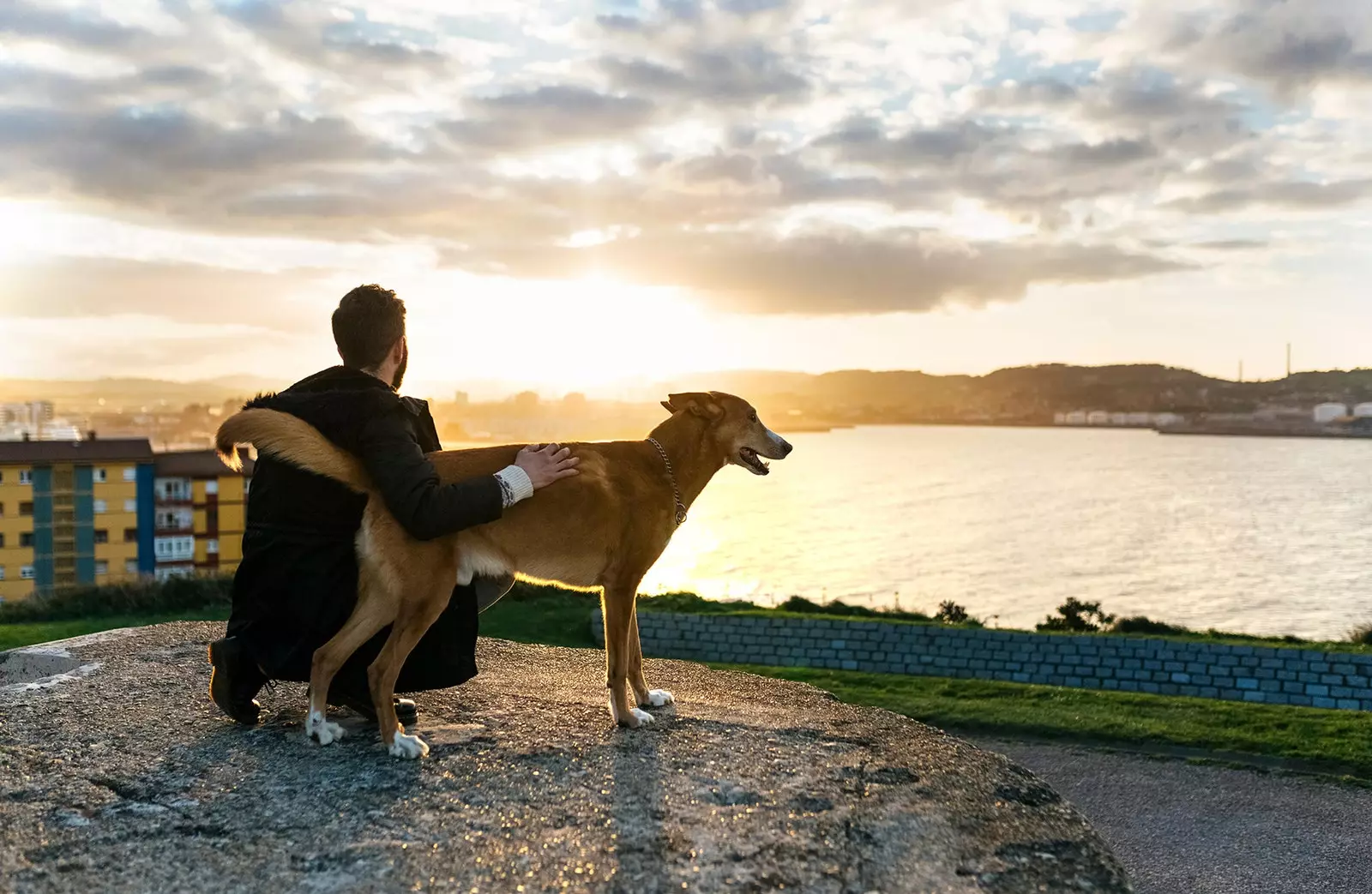 Fünf Reiseziele, um Weihnachten mit Ihrem Hund zu feiern