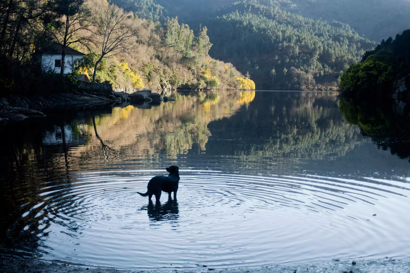 Ribeira Sacra станет вашим раем