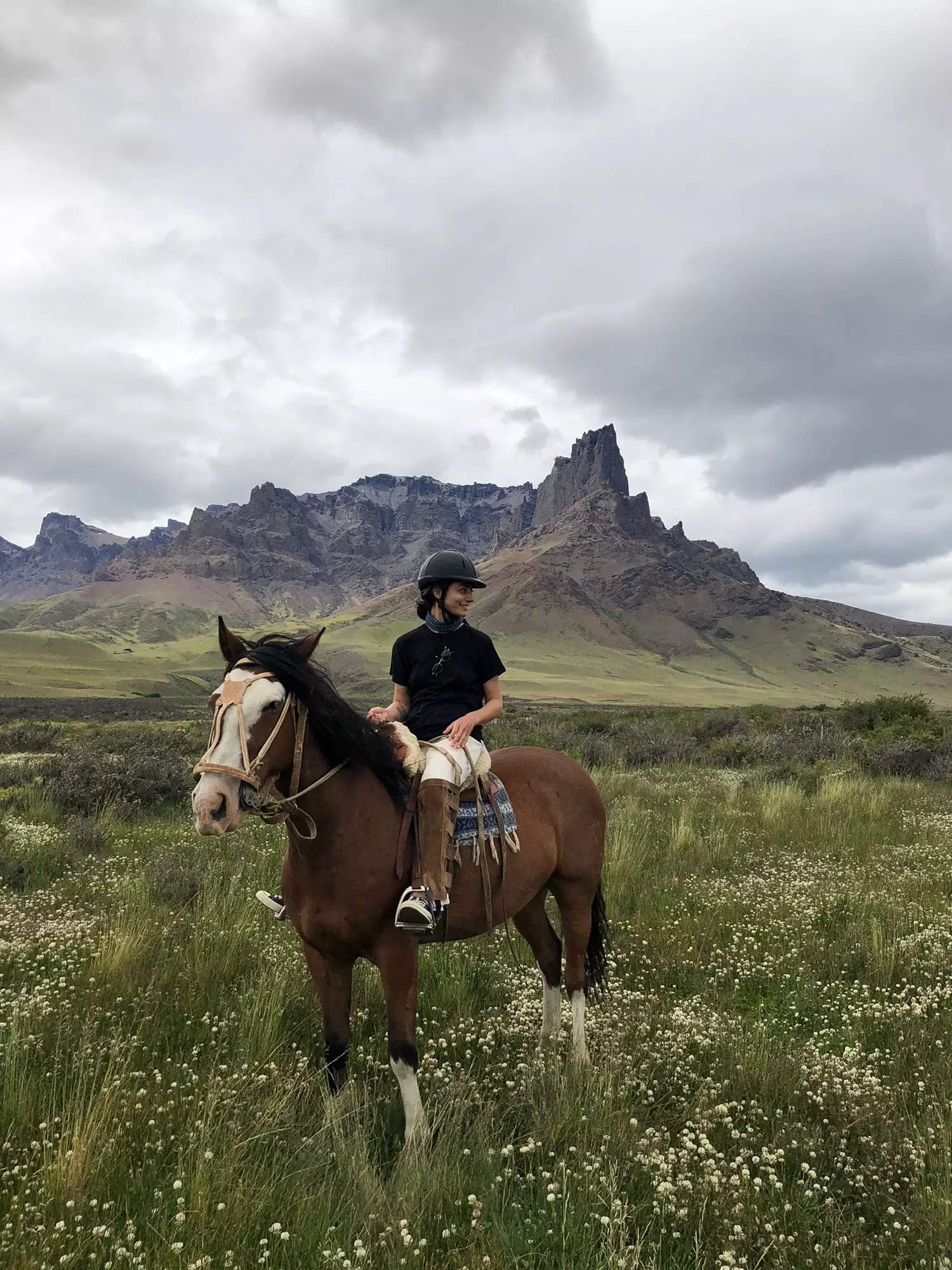 Torres del Paine Patagonia mənzərəsi.