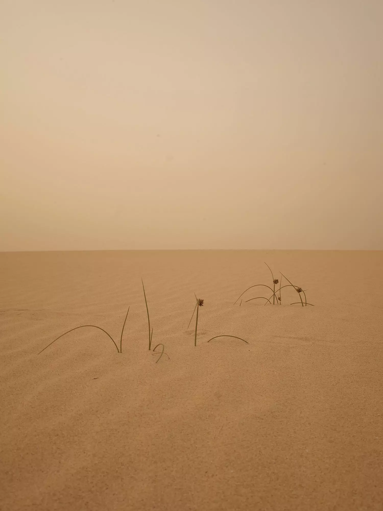 Photographie du désert de Lajares.