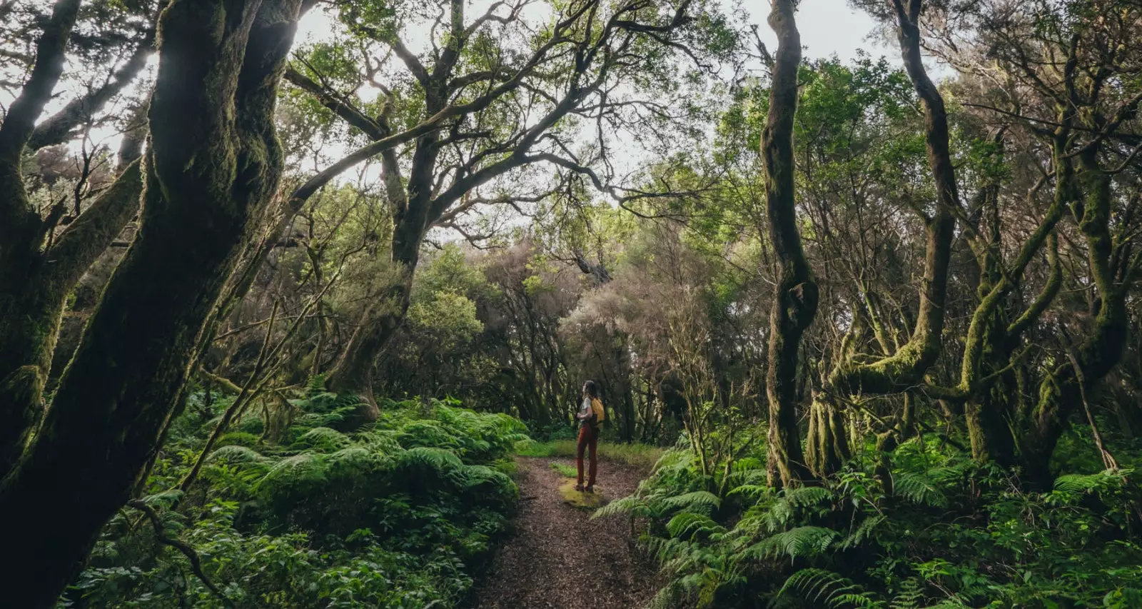 El Hierro l'île la plus durable d'Espagne.