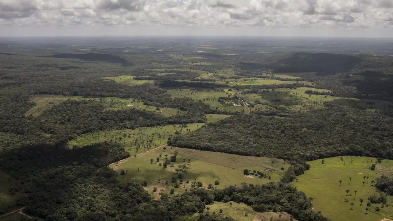 Avaneb Chiribiquete'i rahvuspark, Colombia peidetud juveel