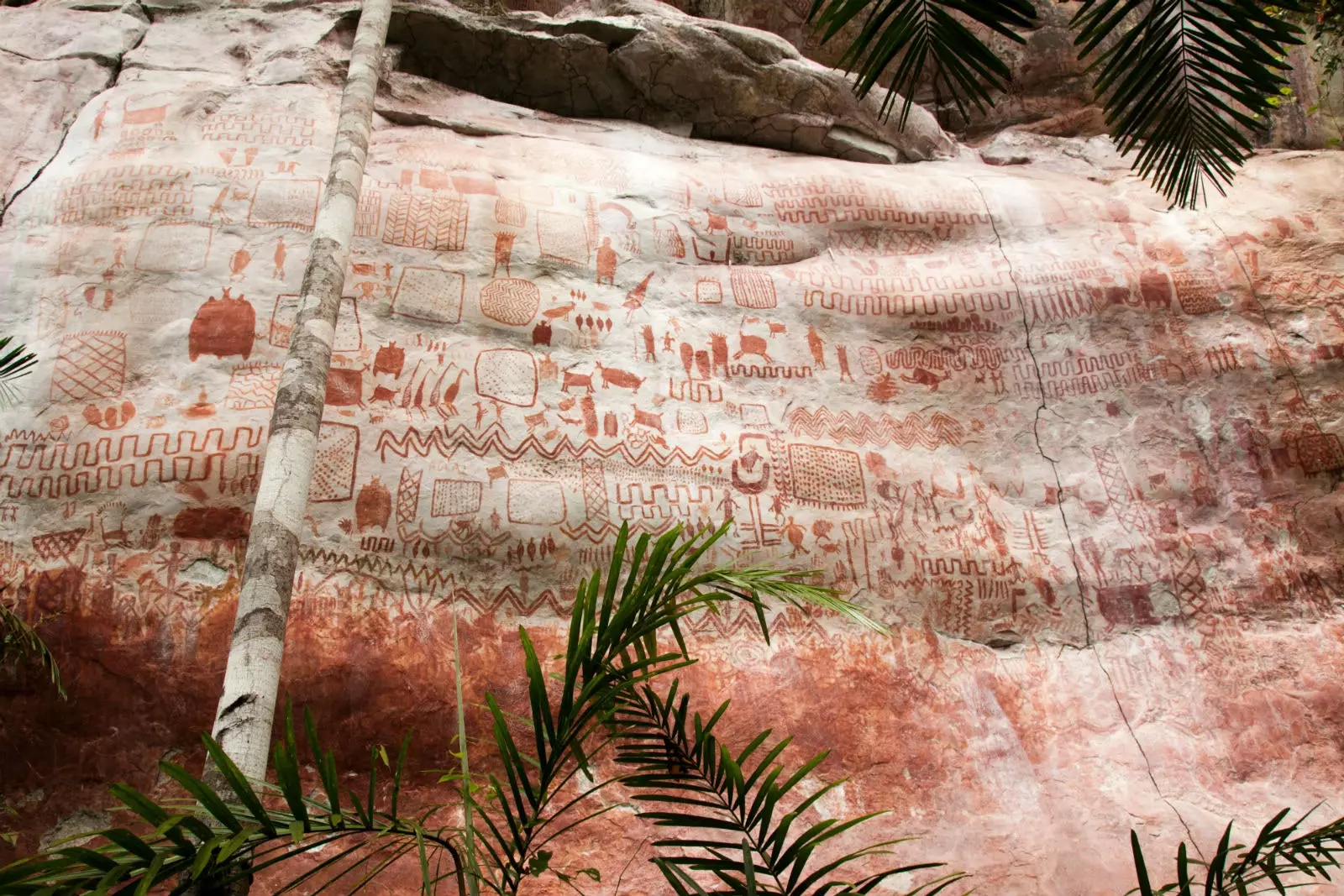 Lukisan gua Chiribiquete.