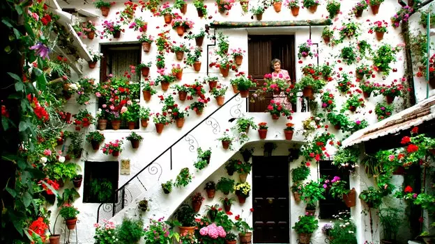 Cordovan patios: the neighborhood pique becomes a World Heritage Site