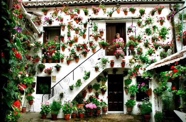 Cordovan patios, nooks and crannies of white lime flowers and overflowing pots