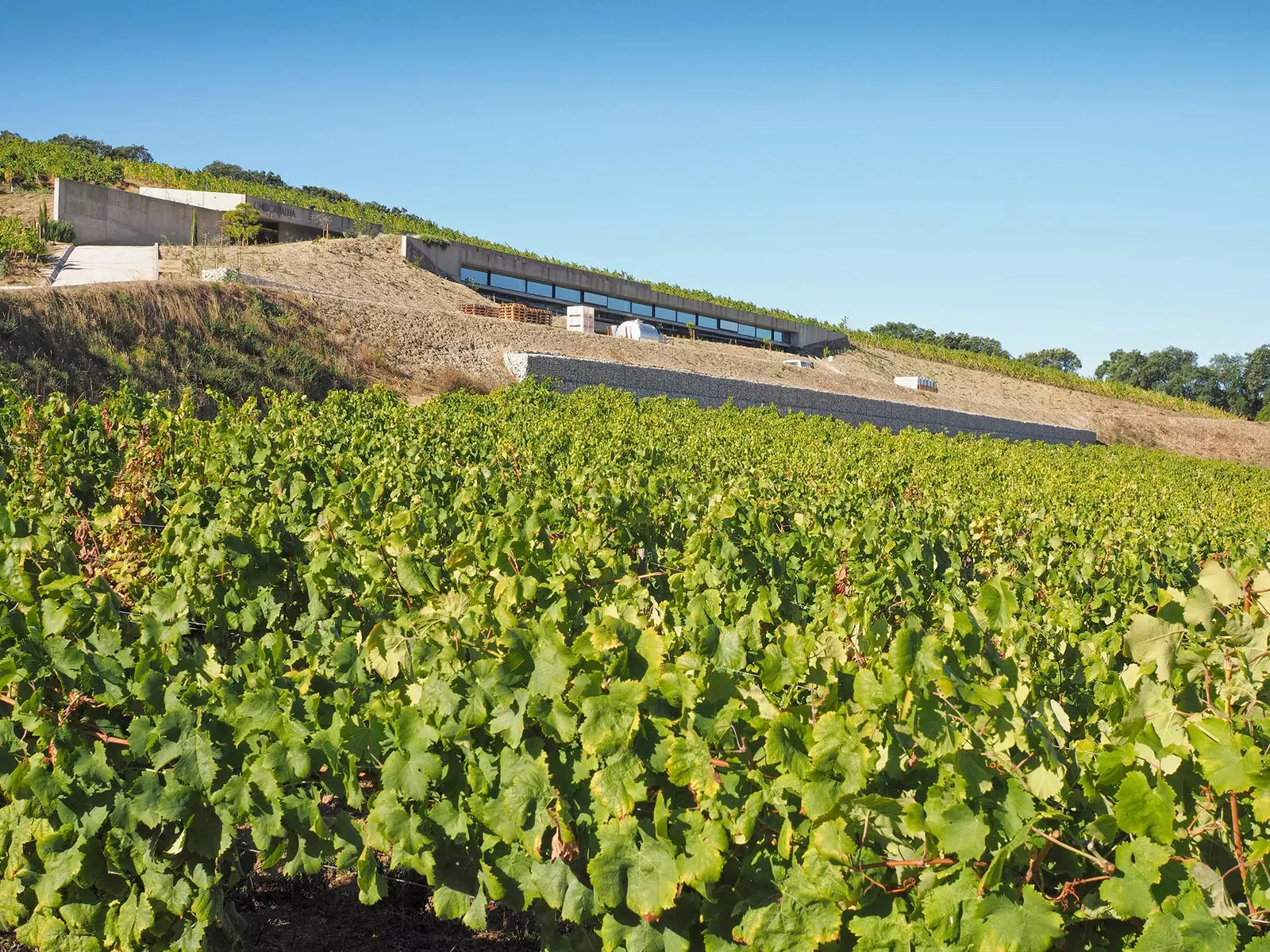 Tetemeka Douro Mvinyo za Torres Vedras na Alenquer tayari ziko hapa