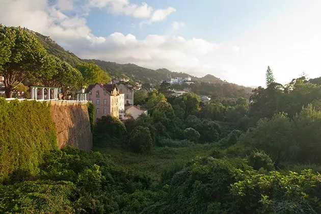 Vedere asupra pădurilor Sintra