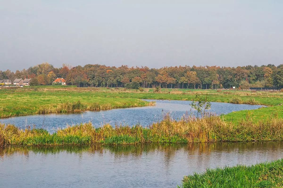 pogumno polje