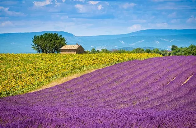 Je suis sûr que vous n'oublierez jamais cette vue.