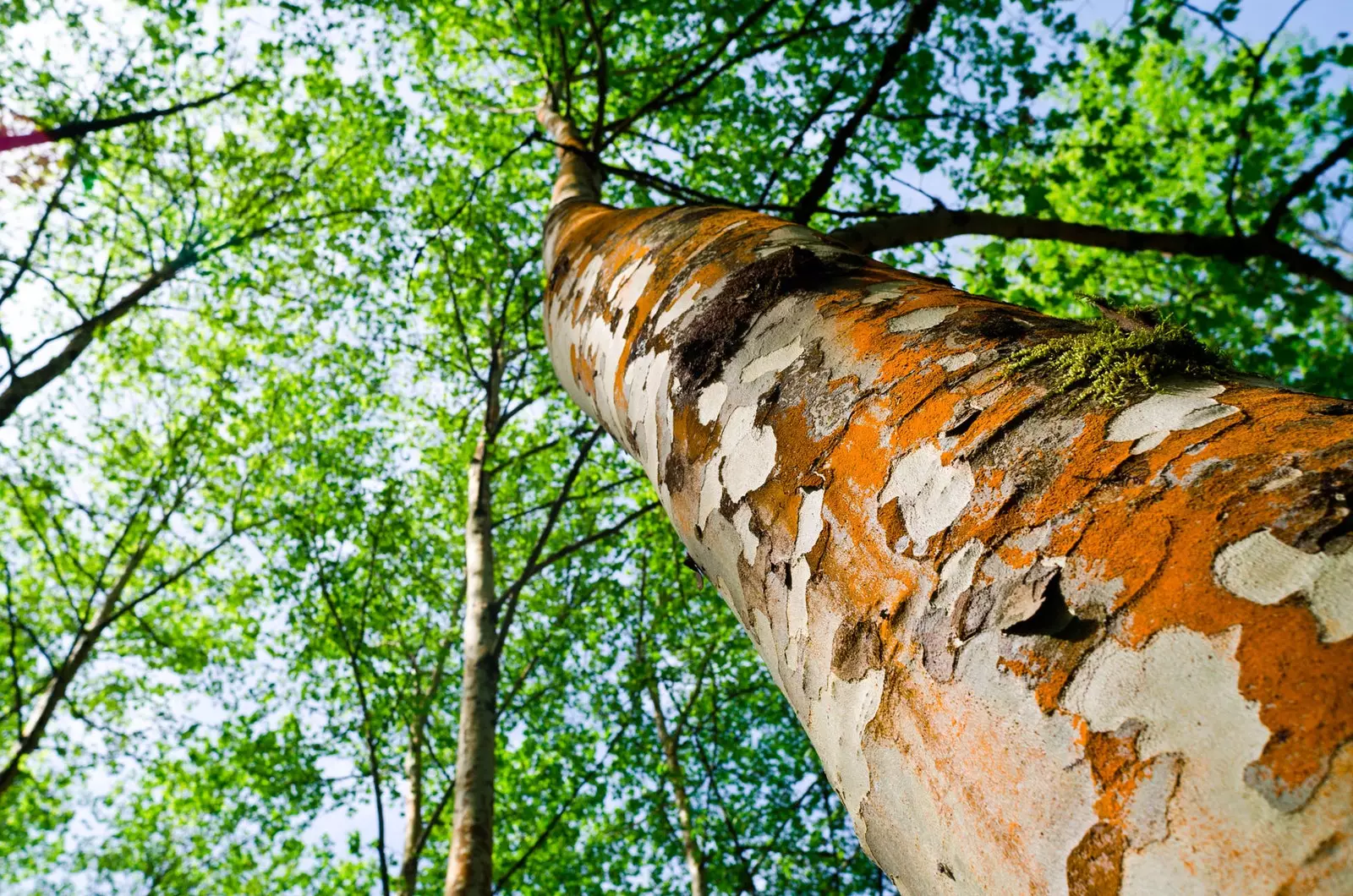 Señorío de Brtiz Natural Park