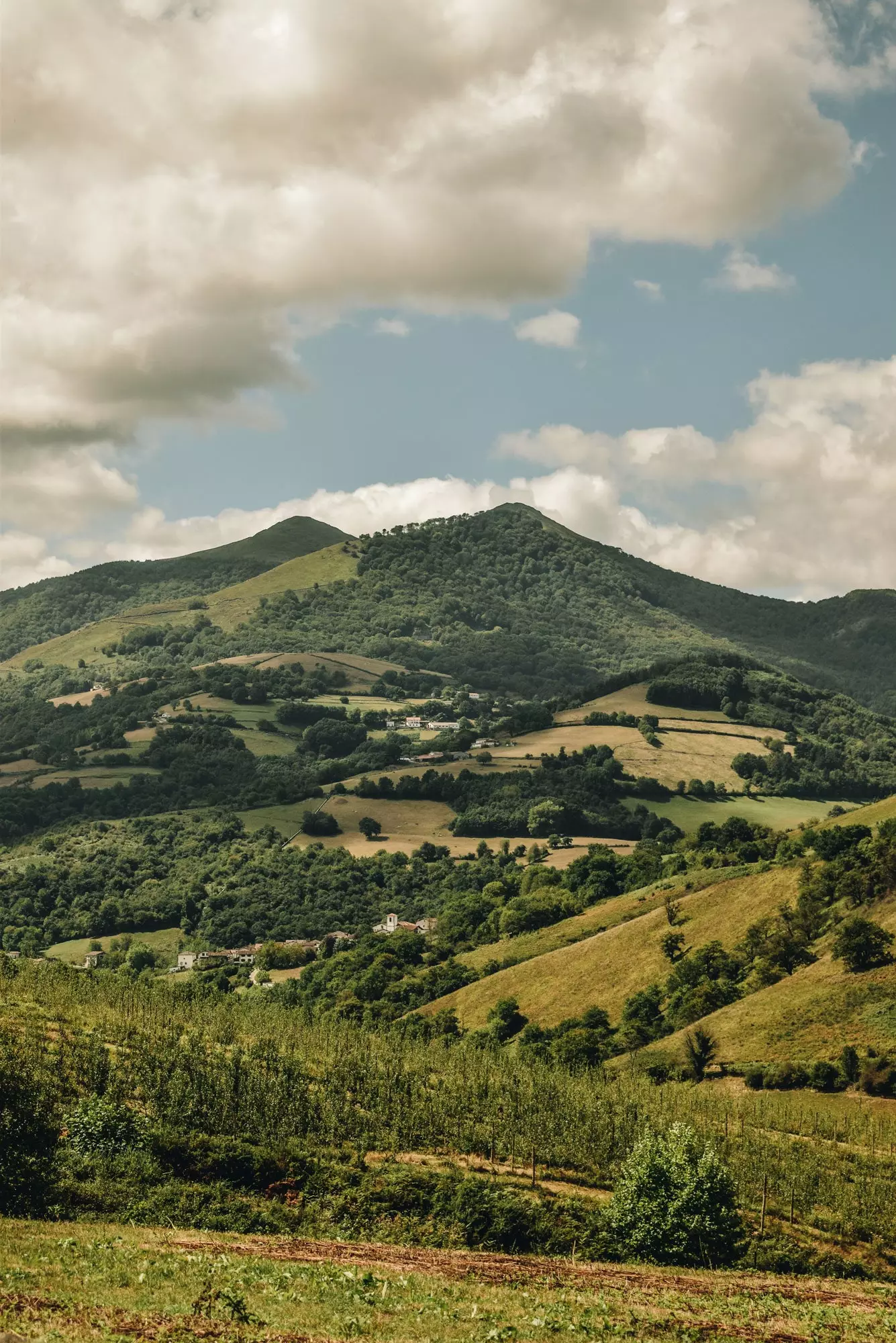 Views from the Amaiur viewpoint