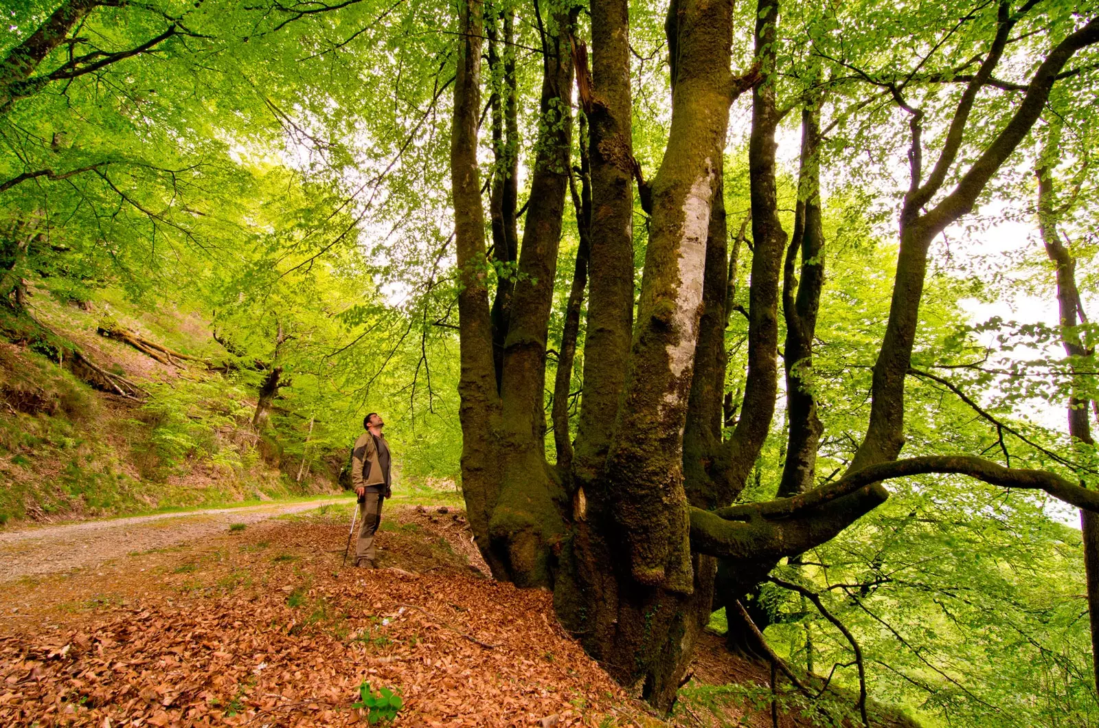 Park Naturali Señorío de Brtiz