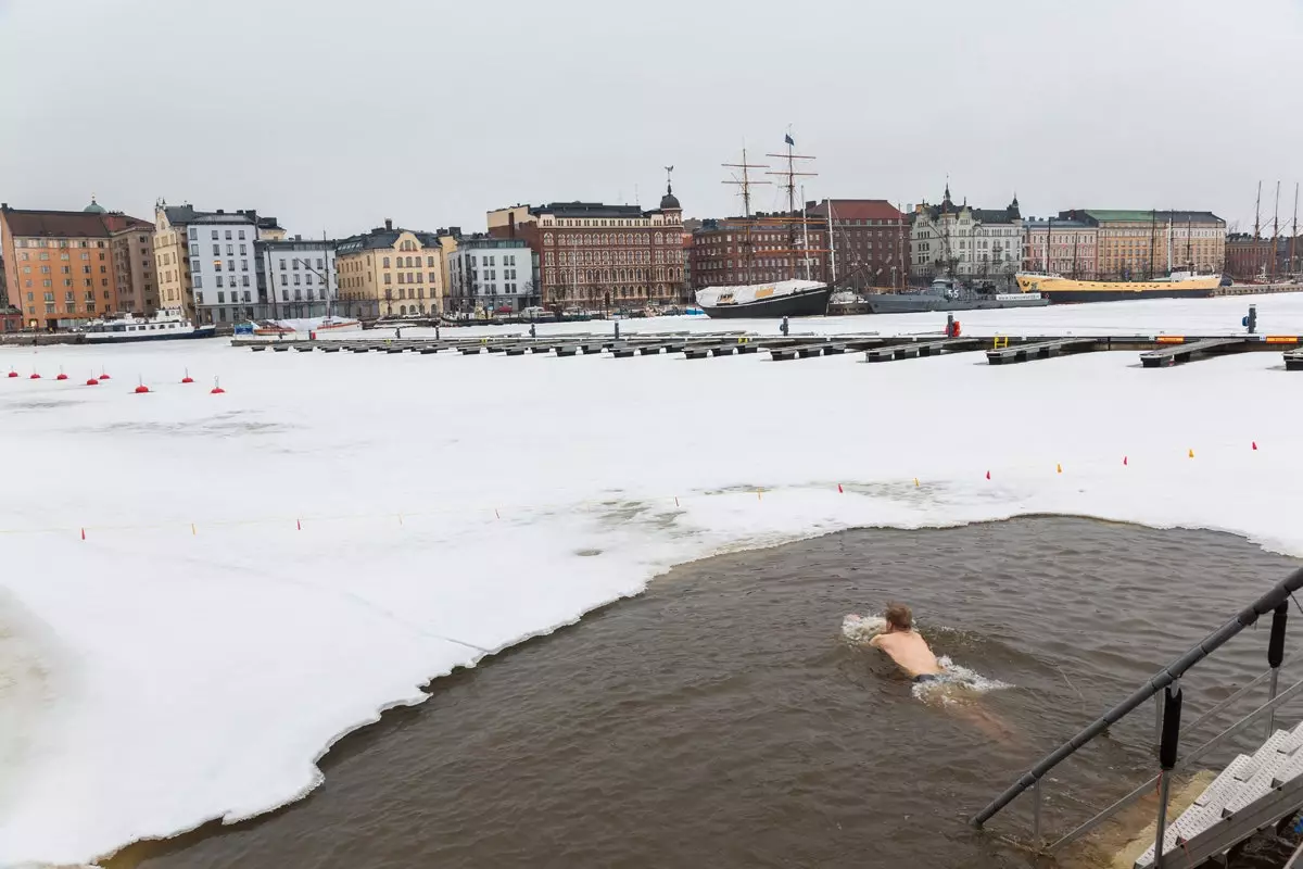 Fladdermus i den frusna Östersjön och du kommer att återfödas som en Fenixfågel