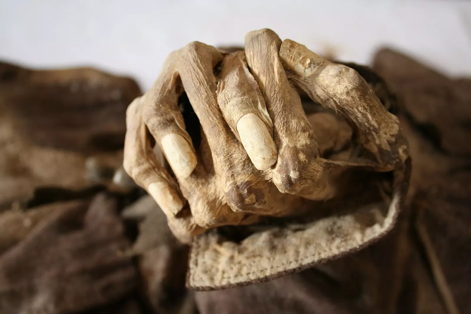 Händerna på en av mumierna som ställdes ut i det första mumiemuseet i Spanien