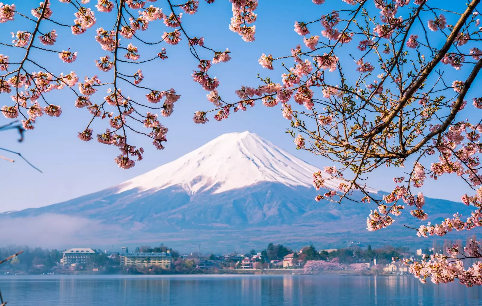 Mount Fuji