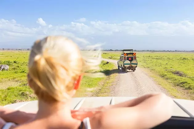 Safariene til de mest avtalte med byråer