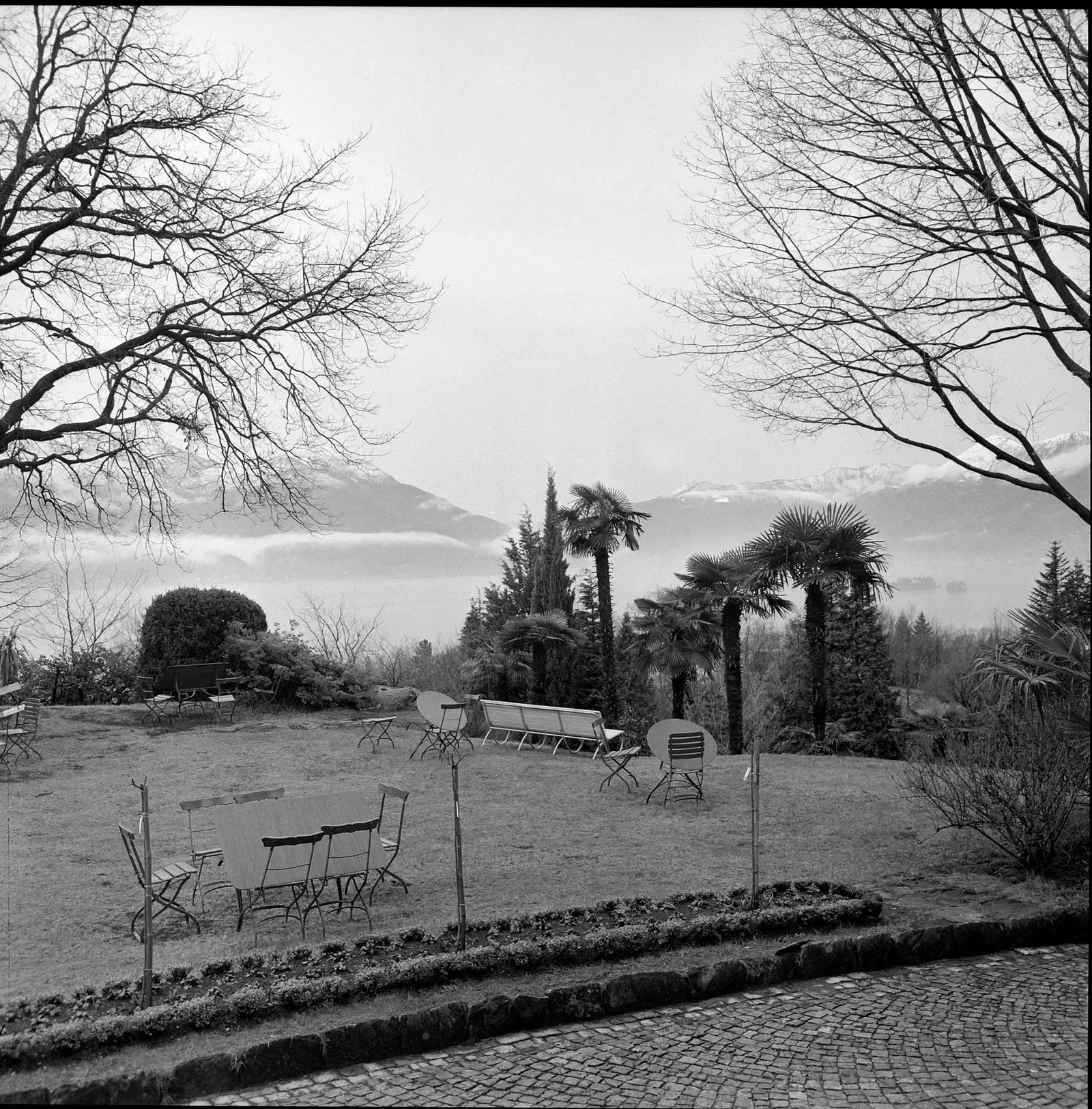 Monte Verità forsaga hippahreyfingarinnar