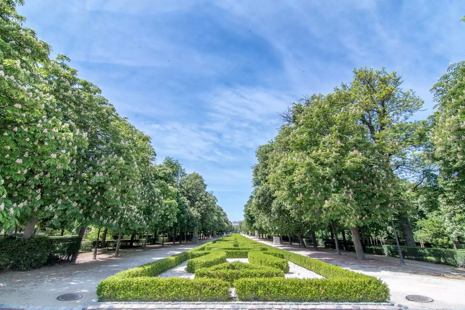 Cammineremo ancora all'ombra degli alberi di El Retiro