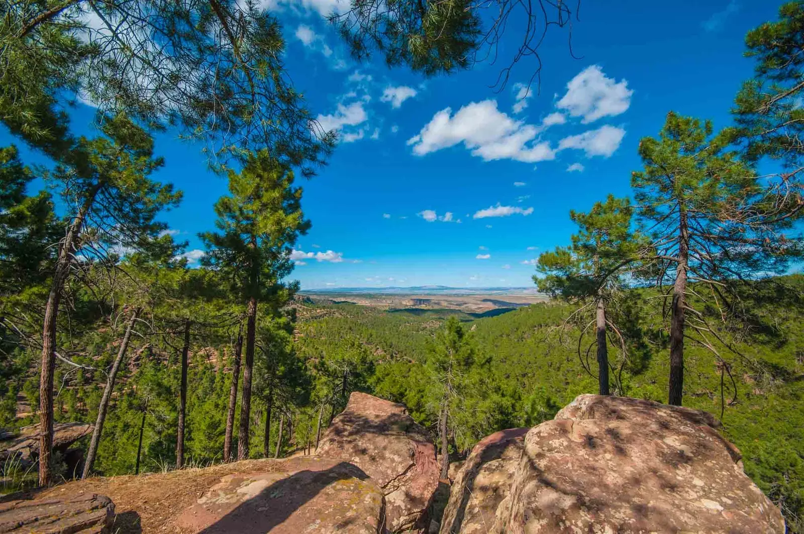 Chráněná krajinná oblast Rodeno Pinares