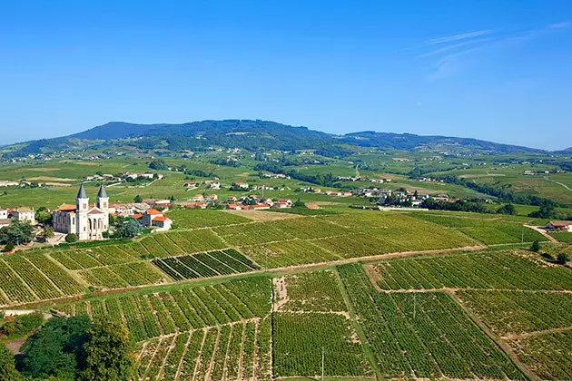 Beaujolais da una prospettiva a volo d'uccello