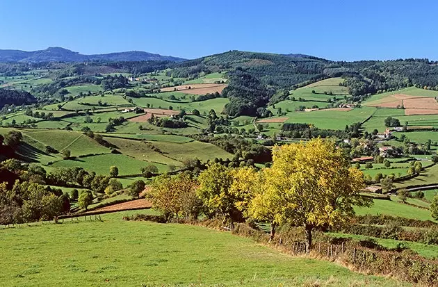 As colinas de Beaujolais esse espetáculo