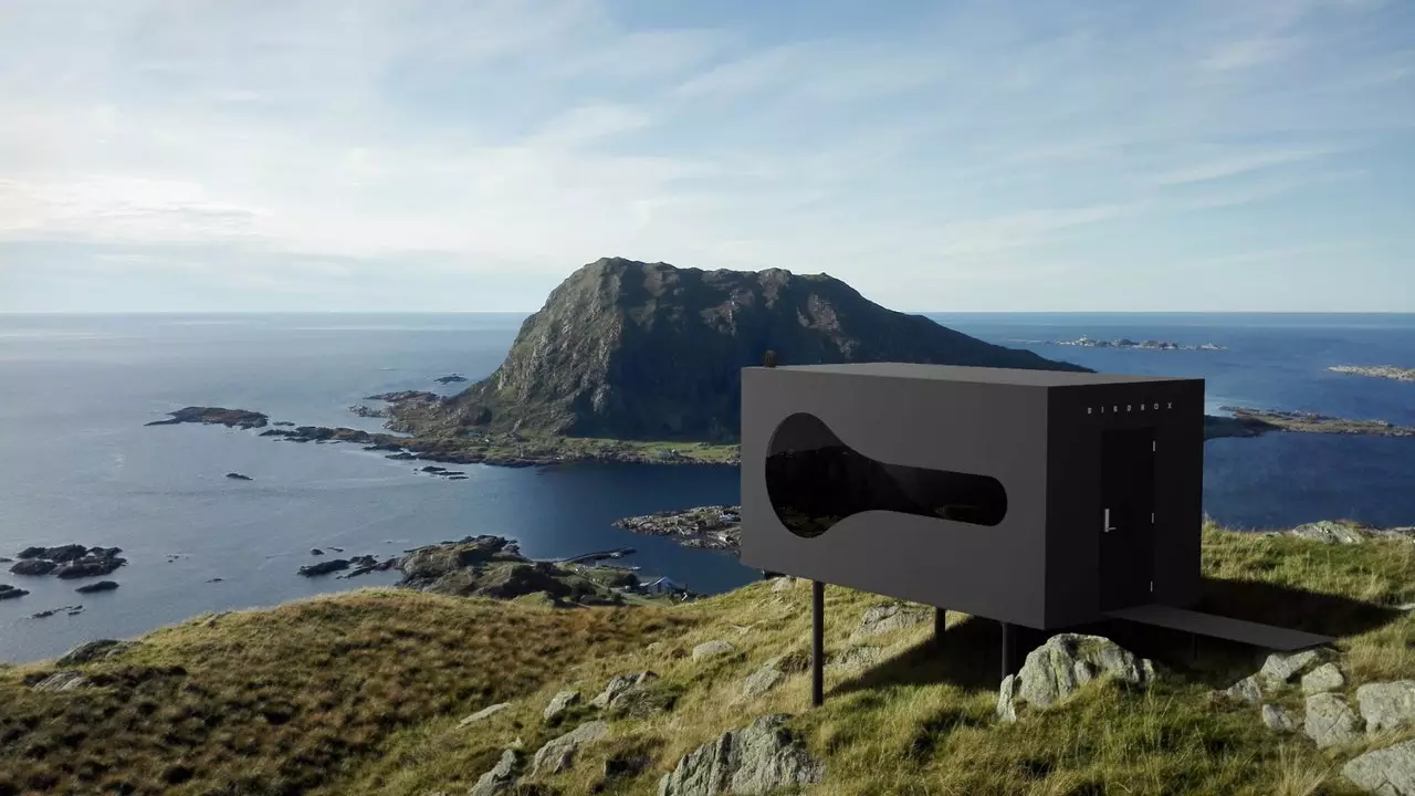 Birdbox: the cabins for adventurers that will await you in Norway and Denmark